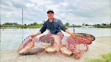 Chia Sẻ Kinh Nghiệm Thực Tế Câu Cá Chép Mùa Hè. Sửa Dụng Hương Liệu Cách Câu Hiệu Quả