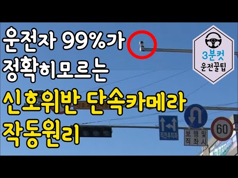 (SUB)[3분컷 운전 꿀팁 #4] 신호위반 무인단속 카메라를 파헤쳐봤습니다!!/신호단속 기준 /신호단속 카메라 팁