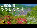 【大鰐温泉つつじまつり】茶臼山公園 1万5千本のつつじ【青森県大鰐町】8K 2026