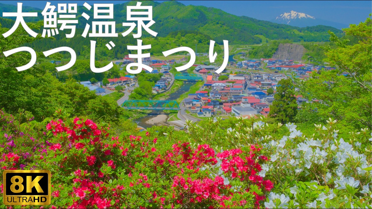 【大鰐温泉つつじまつり】茶臼山公園 1万5千本のつつじ【青森県大鰐町】8K 2026