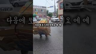 자신의 몸보다 무겁고 큰 박스더미를 매일 어디론가 나르시는 할아버지