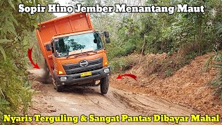 Pantas Dibayar Mahal ||Sopir Hino Jember Menantang Maut Dikubangan Lumpur Hingga Nyaris Terguling