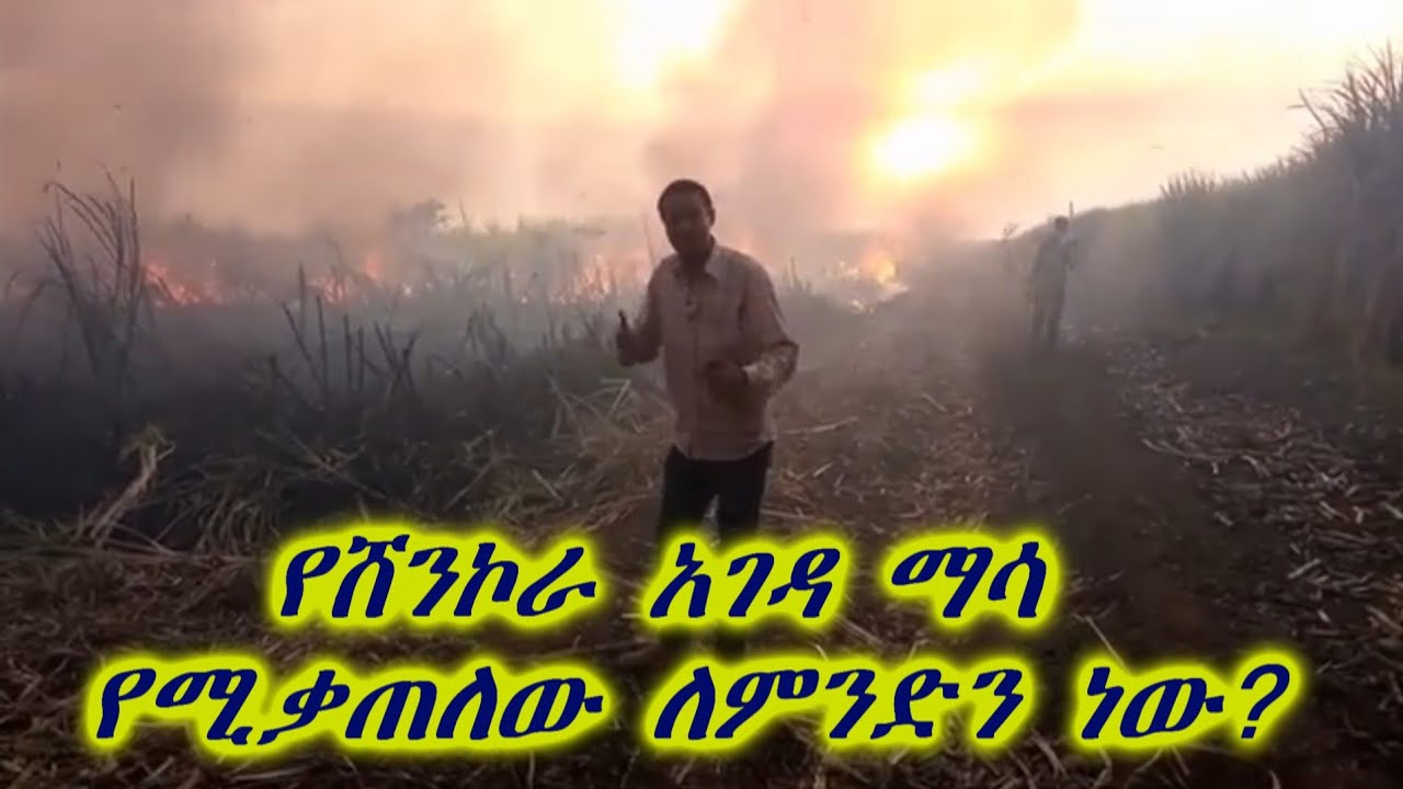 ኦሞ ኩራዝ - የከሰረው ስኳር ፋብሪካ @eniytube