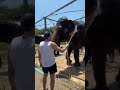 Тайланд 2025. Слоны 🐘🐘🐘