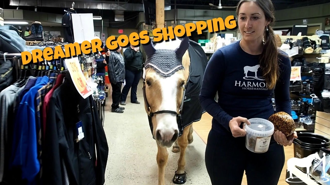 Dreamer goes shopping at System Tack