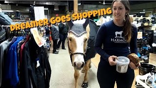 Dreamer goes shopping at System Tack