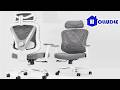 HOLLUDLE Ergonomic Office Chair V Chair for Long Hours & Back Support