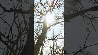 When spring came, even the false spring, there were no problems except where to be happiest..