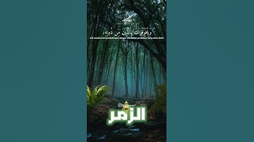 سورة الزمر بصوت جميل جدا حالات واتس اب دينية قصيرة قران كريم تلاوة خاشعة ومؤثرة