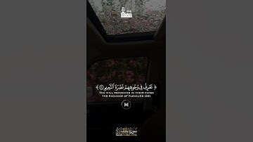 - تلاوة شجية للقارئ  ياسر الدوسري من سورة المطففين ﴿ وما أدراك ما عليّون ﴾ 🌹