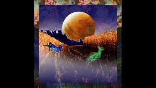 Androcell - mix