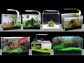 Top 7 how to make mini planted aquarium fish tank at home  diy aquascape decoration ideas 166