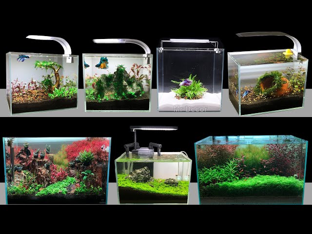 DIY Aquarium Fish Tank Ideas - MR DECOR