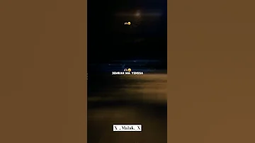 القلب لي يعشق عمره ماينسى 