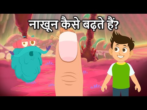 न ख न क स बढ त ह How Your Nails Grow In Hindi Dr Binocs Show 