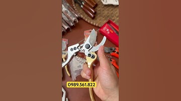 KÉO CẮT CÀNH CẦM TAY KAPUSI CAO CẤP SỊN