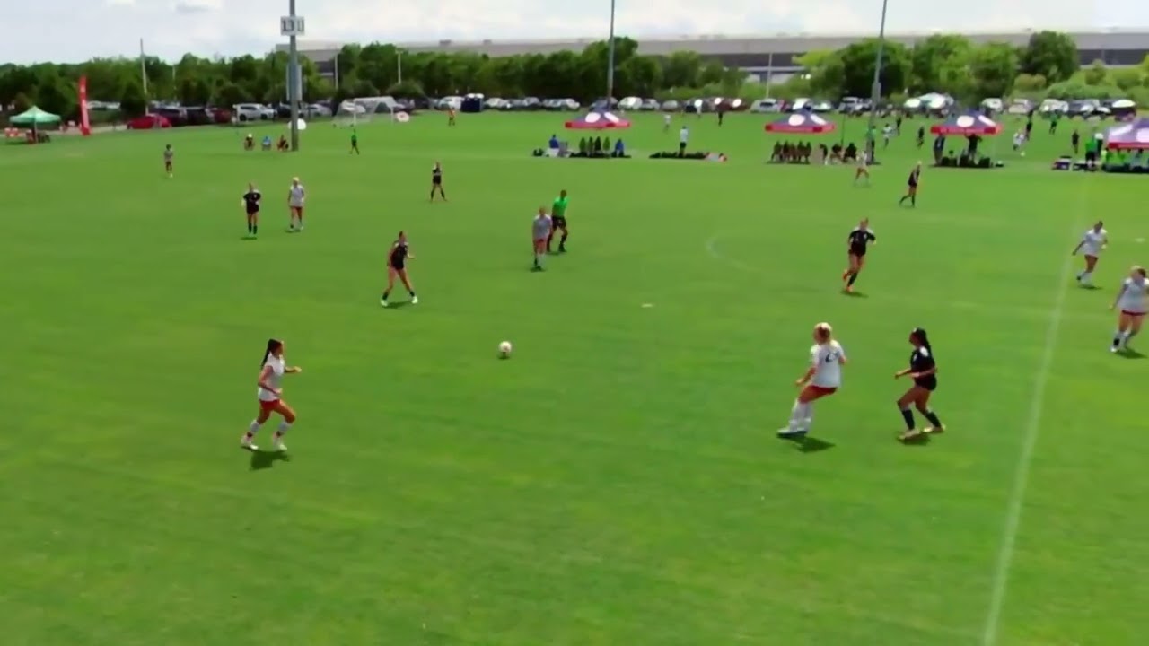 Distribution Highlights