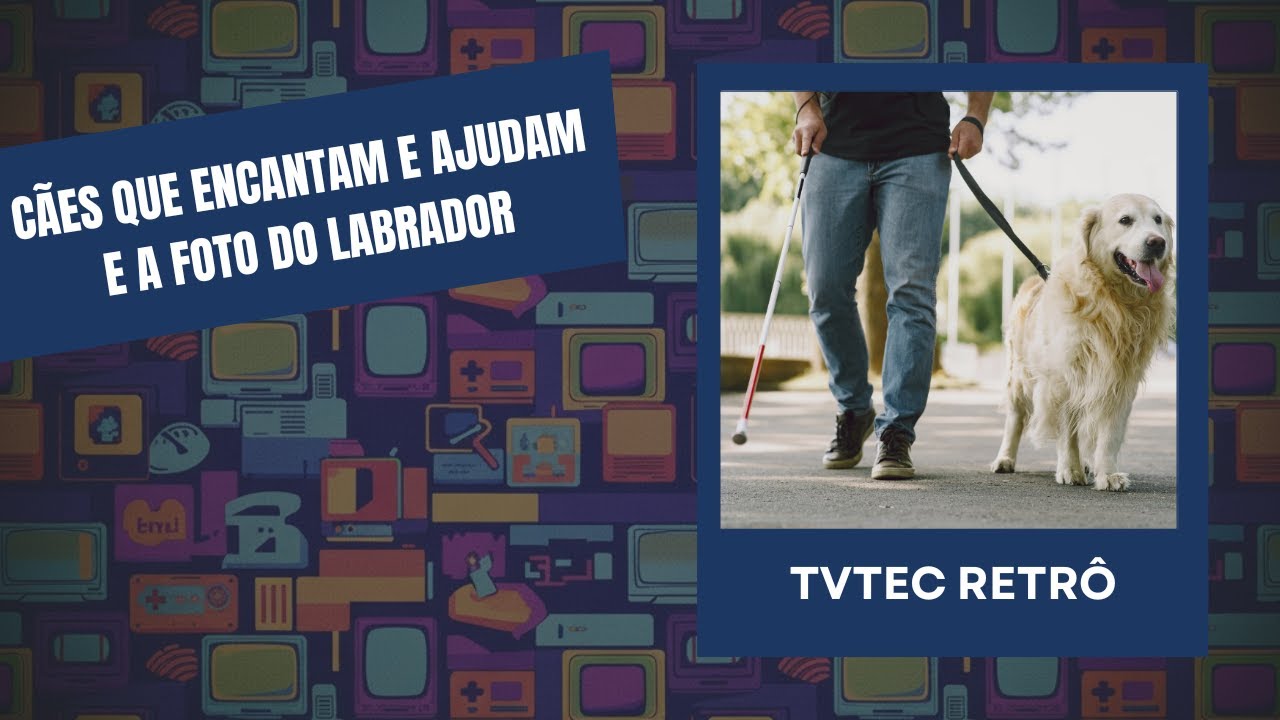 O QUE FAZ UM CÃO-GUIA? | @TVTECJUNDIAÍ