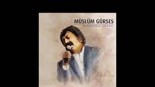 Mahzendeki Şarkılar Sevdalım Elenor Plak Resimi