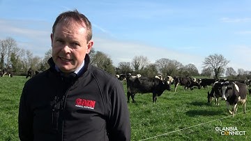 Spring Breeding for Dairy Cows Willie Darmody Glanbia
