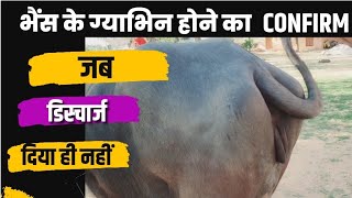 भस गभन हन क लकषण पत कर बन Discharge By Ramawat