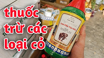 Thuốc trừ cỏ lưu dẫn tận gốc chái rụi 150sl
