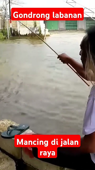 gondrong Labanan, mancing di jalan raya