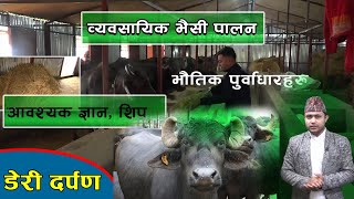 भैंसीको आधुनिक गोठ निर्माण कसरी गर्ने  ? Buffalo farming in Nepal || व्यवसायिक भैसीपालन गर्ने तरिका