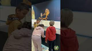 De Callosa a Bergen CEIP Rafael Altamira. Callosa de Segura_Baix Segura