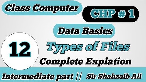 12th Class Computer Science Chapter 1 - 12 Class Computer Science CHP 1 - File Types