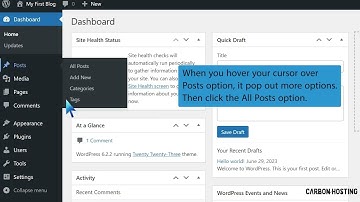 How to Bulk Delete Posts in WordPress   Carbon Hosting