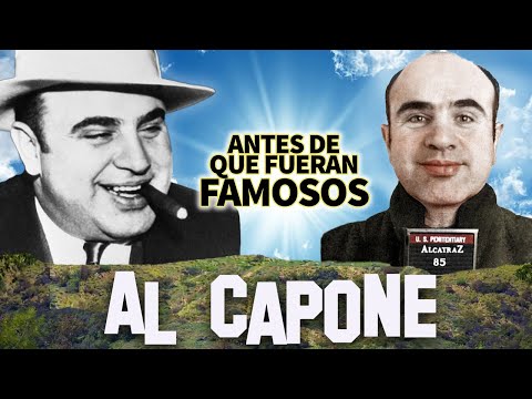 ¿Cómo Comenzó La Carrera De Gángster De Al Capone?