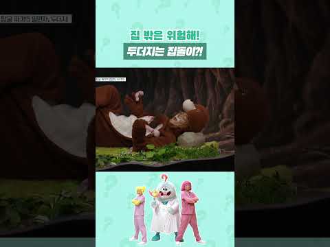 우리 집이 세상에서 제일 안전해...🏠❤️ #shorts