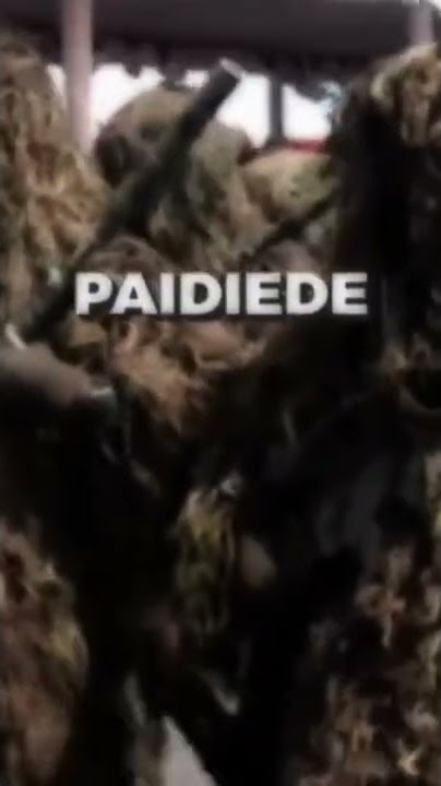 story'wa keren TNI AD pasukan sniper hantu hutan||jedag jedug 30 detik #shorts #semangat #abdinegara
