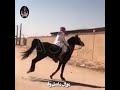 موال ماضل وفا mp3