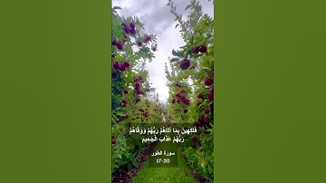 إن المتقين في جنات ونعيم | تلاوة إبداعية من سورة الطور (17-20) للشيخ أحمد العجمي #القرآن_الكريم