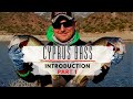 Cyprus bass fishing: introduction. Part 1 🇨🇾 Cyprus fishing with guide