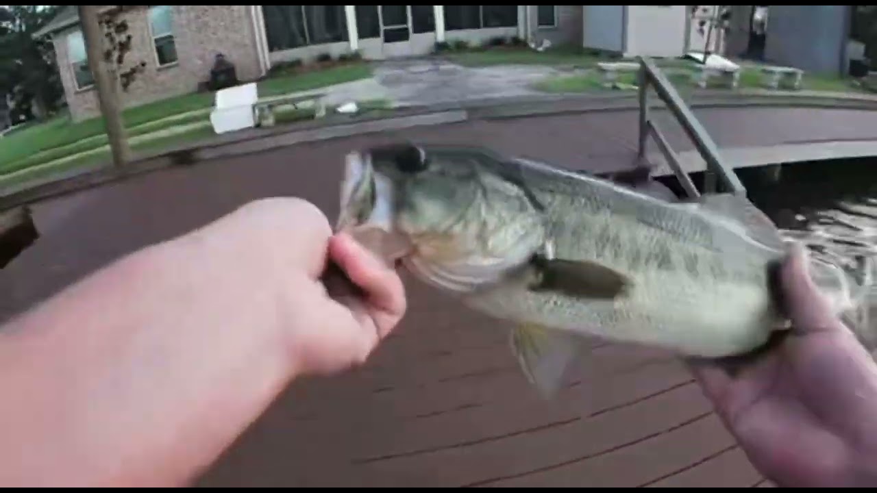 Bass fishing at lake Ramsey!!