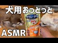 【ASMR 】