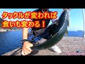 タックルの違いで食いの違いを実感!【ライトショアジギング・スーパーライトショアジギング】ジギングフルモン219