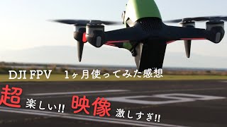 初めてのドローンはDJI FPV！！ 1ヵ月使用した感想