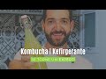Curso Kombucha e kefir on line - expert fermentação de bebidas Enzo Neto
