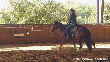Peptos Stylin - working the flag! - ValleyViewRanch.net