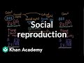 Understanding Social Reproduction and Inequality