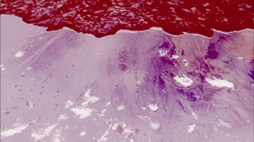 MERCURY RISING (Gemini 4) Official Video