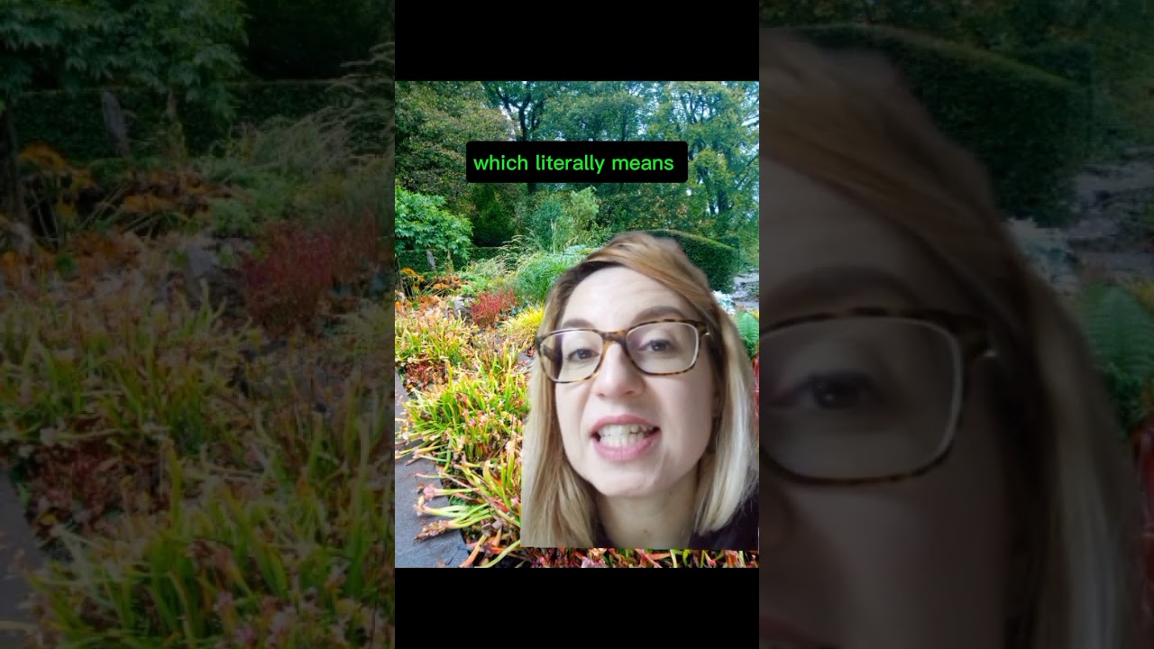 Funny Swedish Phrase! 