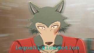 Beastars Legoshi Slow Motion 1080P60