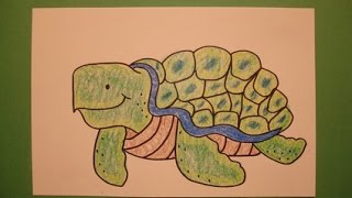 Celebrity Let's Draw a Sea Turtle! Net Worth