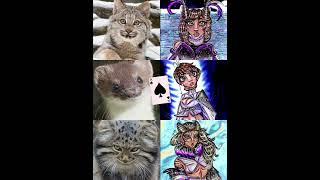 ♠ ACE BADDIES SERIES ♠ #alexanthonyangel #animalfacetheory #ace #lgbtqia #asexual #acespec