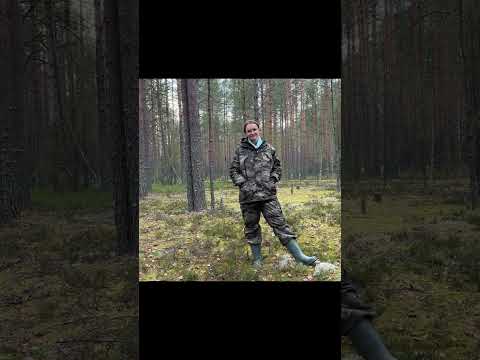 ШОК от НАХОДКИ в лесу! КАБАНЫ НАПАДАЮТ!